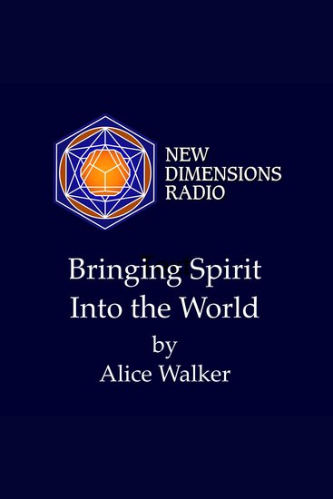 Bringing Spirit Into the World - cover