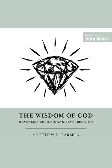 The Wisdom of God - Revealed Reviled and Reverberated - cover