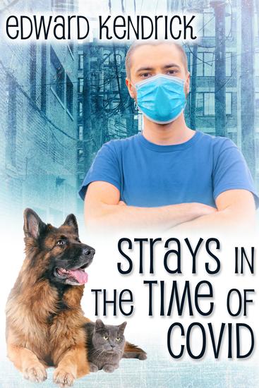 Strays in the Time of COVID - cover