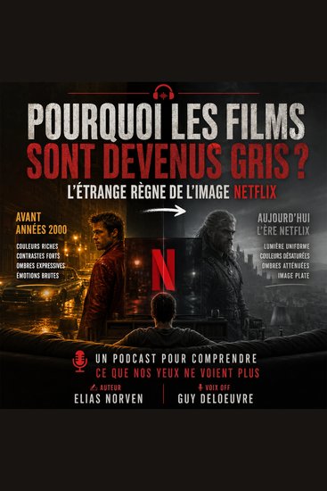 Pourquoi les films sont devenus gris ? L’étrange règne de l’image Netflix - cover