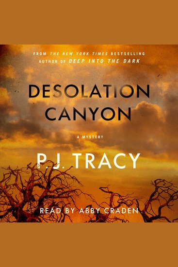 Desolation Canyon - A Mystery - cover