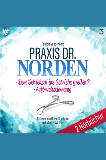 Praxis Dr Norden 2 Hörbücher Nr 3 - Arztroman - Dem Schicksal ins Getriebe greifen? - Aufbruchstimmung - cover