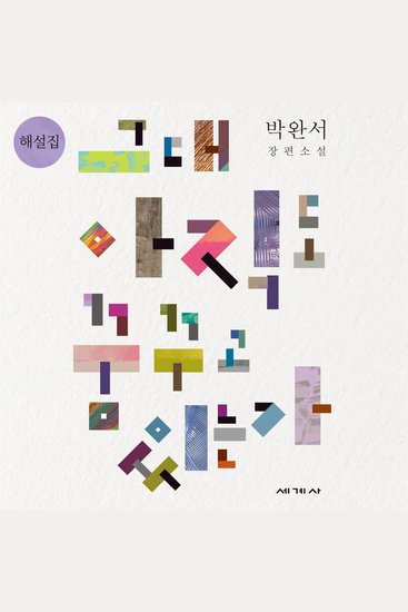 그대 아직도 꿈꾸고 있는가 해설집 - cover