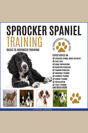 Sprocker Spaniel Training - Basic To Advanced Training: The Comprehensive Training Guide - cover