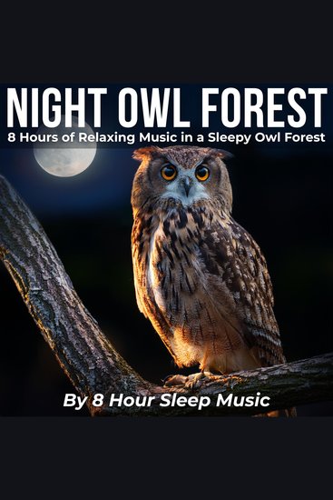 Night Owl Forest: 8 Hours of Relaxing Music in a Sleepy Owl Forest - cover