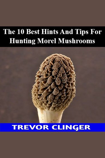 The 10 Best Hints And Tips For Hunting Morel Mushrooms - cover