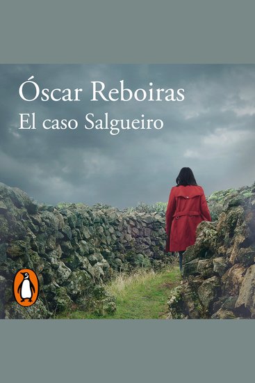 El caso Salgueiro - cover