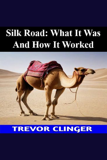 Silk Road: What It Was And How It Worked - cover