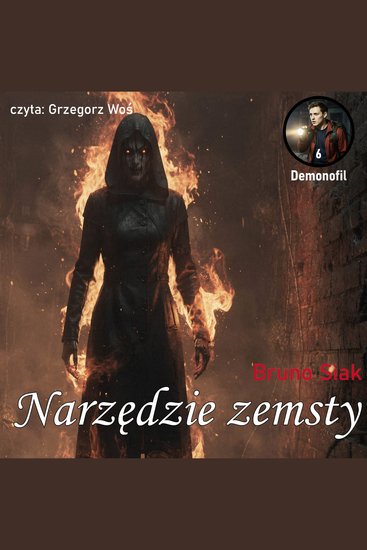 Narzędzie zemsty - cover
