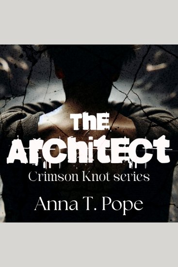 The Architect - A dark slow-burn BDSM-charged MM romance - cover
