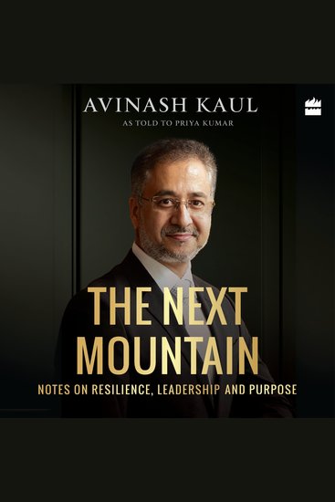 The Next Mountain - Notes on Resilience Leadership and Purpose - cover