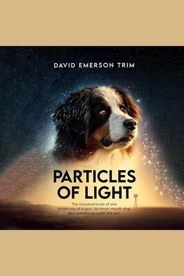 Particles of Light - The misadventures of one bright son of a gun his smart mouth dog and everything under the sun - cover