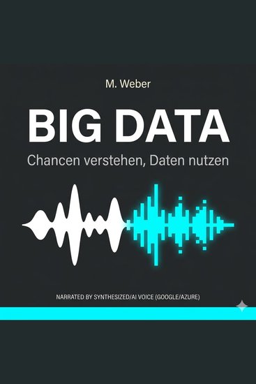 Big Data – Chancen verstehen Daten nutzen - Dein praxisnaher Leitfaden für datengetriebene Entscheidungen - cover