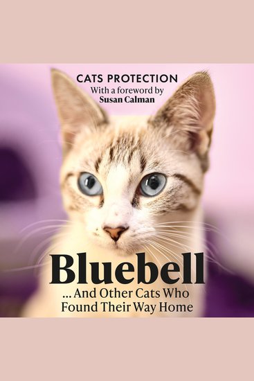 Bluebell And Other Cats Who Found Their Way Home - The perfect gift for cat lovers - cover