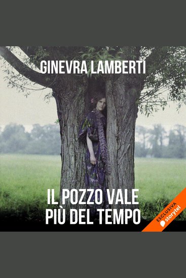 Il pozzo vale più del tempo - cover
