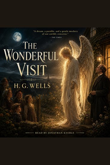 The Wonderful Visit - A celestial being's unexpected arrival in a Victorian village sparks wonder confusion and social upheaval - cover