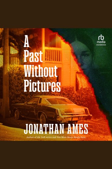 A Past Without Pictures - cover