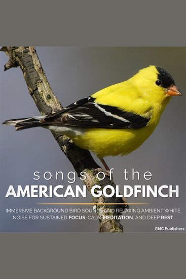 Songs of the American Goldfinch - Immersive Background Bird Sounds and Relaxing Ambient White Noise for Sustained Focus Calm Meditation and Deep Rest - cover