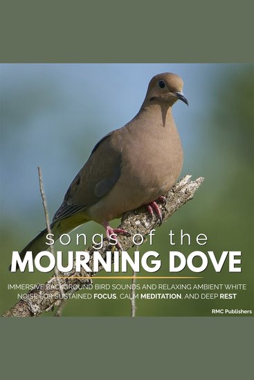 Songs of the Mourning Dove - Immersive Background Bird Sounds and Relaxing Ambient White Noise for Sustained Focus Calm Meditation and Deep Rest - cover