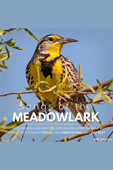 Songs of the Meadowlark - Immersive Background Bird Sounds and Relaxing Ambient White Noise for Sustained Focus Calm Meditation and Deep Rest - cover