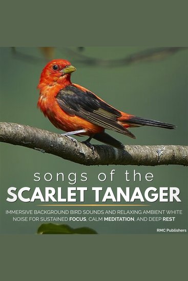 Songs of the Scarlet Tanager - Immersive Background Bird Sounds and Relaxing Ambient White Noise for Sustained Focus Calm Meditation and Deep Rest - cover