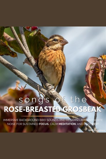 Songs of the Rose-Breasted Grosbeak - Immersive Background Bird Sounds and Relaxing Ambient White Noise for Sustained Focus Calm Meditation and Deep Rest - cover