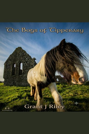 The Bogs of Tipperary - cover
