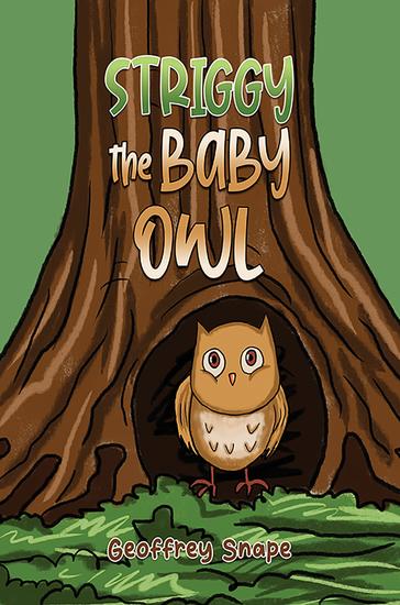 Striggy the Baby Owl - cover