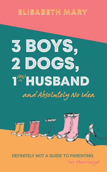 3 Boys 2 Dogs 1 (Ex) Husband and Absolutely No Idea - Definitely not a Guide to Parenting (or Marriage) - cover