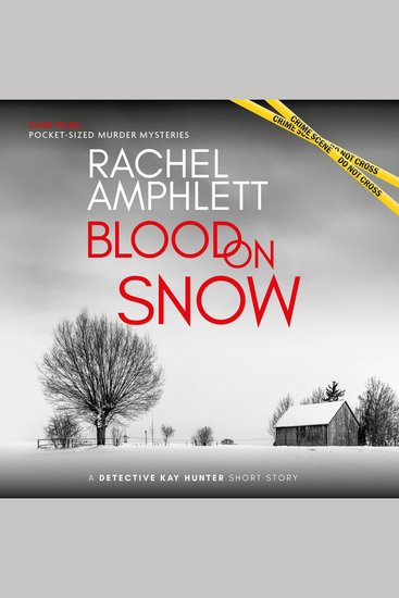 Blood on Snow - A Detective Kay Hunter short story - cover
