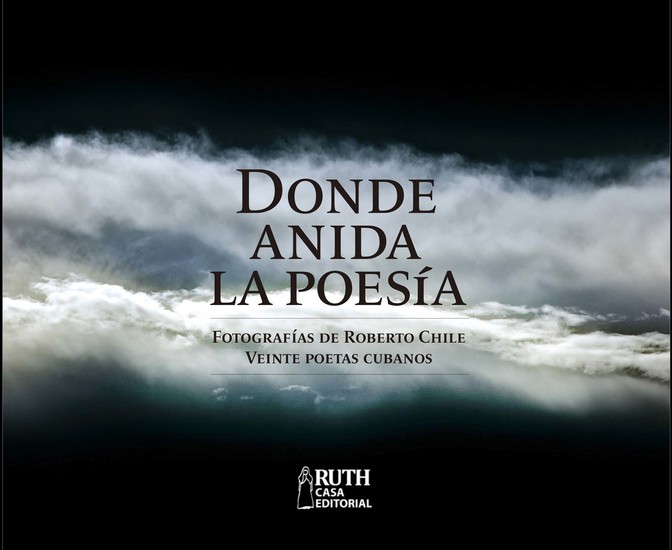 Donde anida la poesía - cover