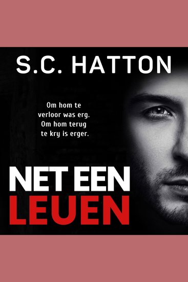 Net Een Leuen - (Afrikaans Edition) Sielkundige Riller - cover