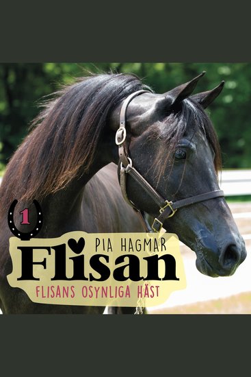 Flisans osynliga häst - cover