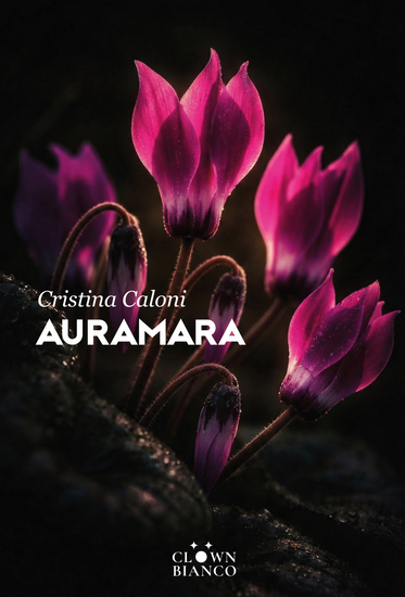 Auramara - Leila guardava le stelle - cover