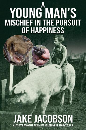 A Young Man's Mischief in the Pursuit of Happiness - cover