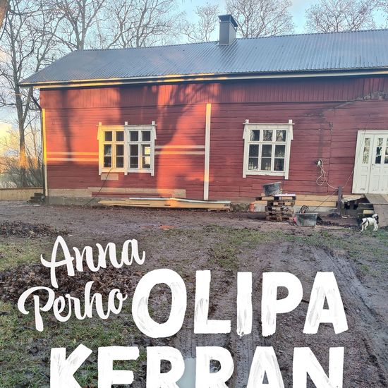 Olipa kerran talo – kuinka menetin rahani ja järkevän ihmisen maineen - cover