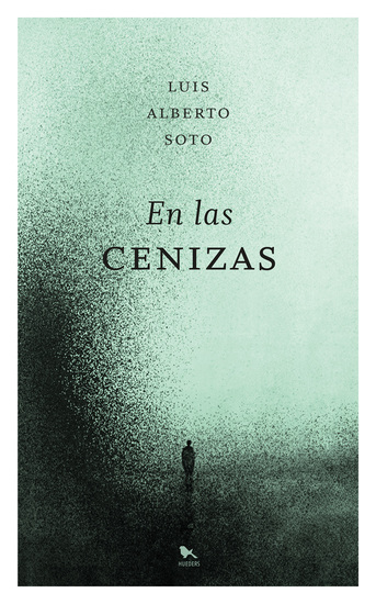 En las cenizas - cover