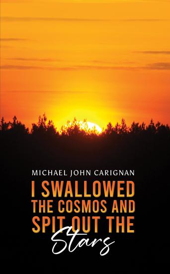 I Swallowed the Cosmos and Spit Out the Stars - cover