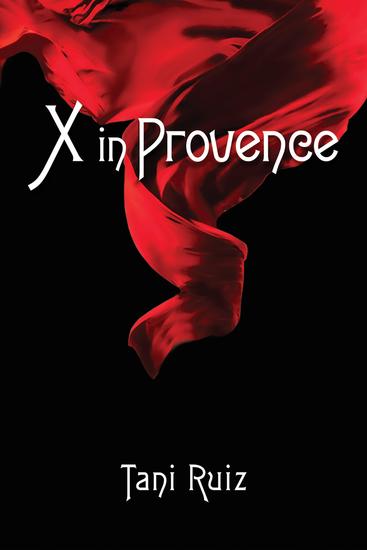 X in Provence - cover