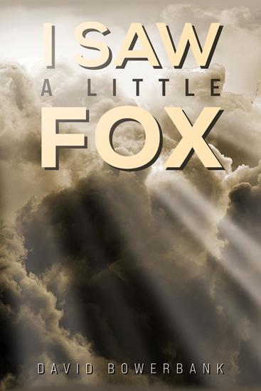 I Saw a Little Fox - cover