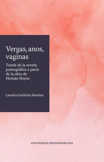 Vergas anos vaginas - Teoría de la novela pornográfica a partir de la obra de Hernán Hoyos - cover