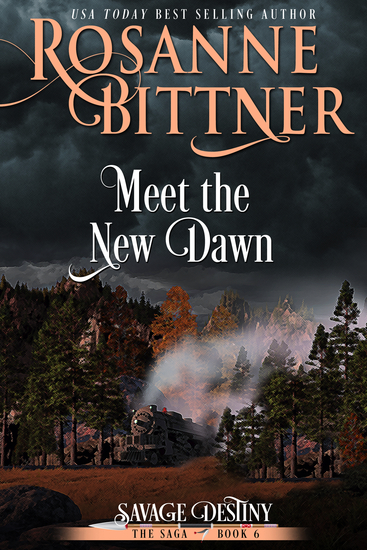 Meet the New Dawn - cover