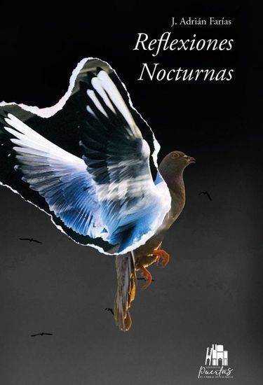 Reflexiones nocturnas - cover