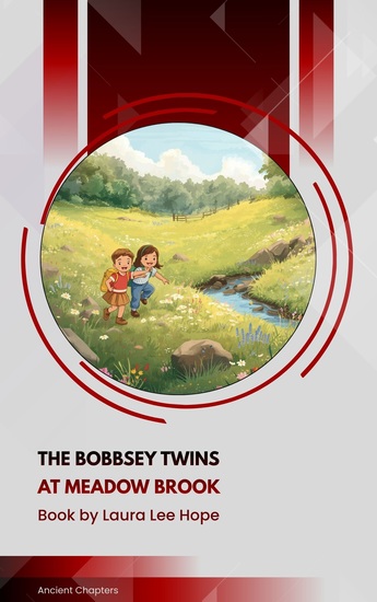The Bobbsey Twins at Meadow Brook - cover