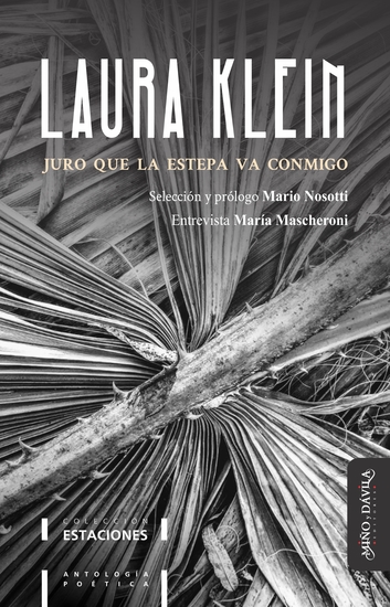 Juro que la estepa va conmigo - Antología poética de Laura Klein - cover