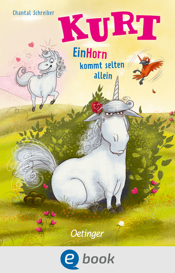 Kurt Einhorn wider Willen 2 EinHorn kommt selten allein - cover