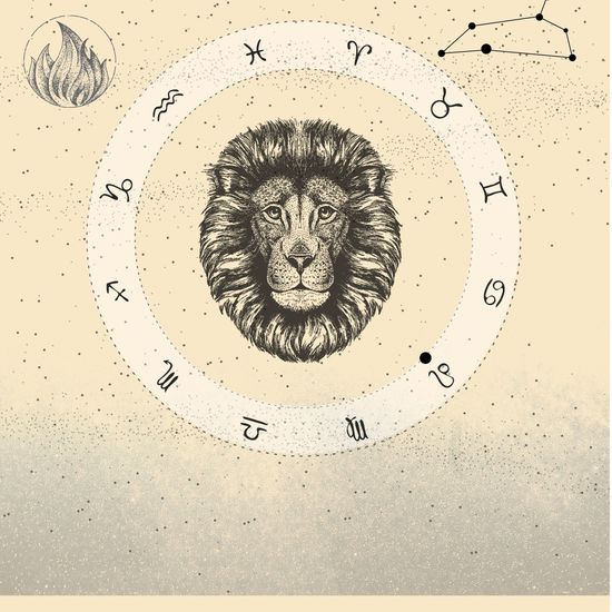 Lejonet - cover