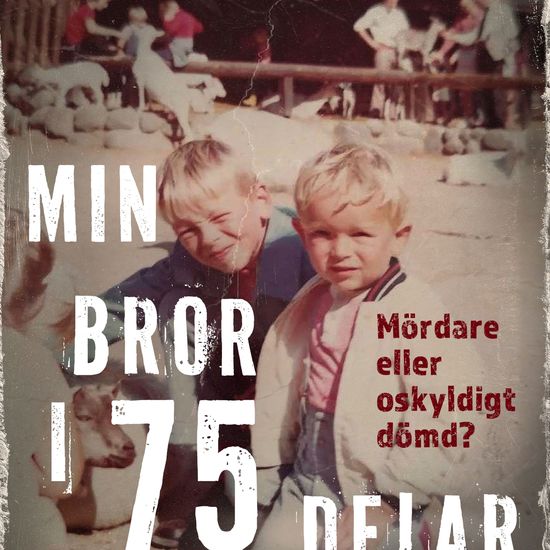 Min bror i 75 delar - cover