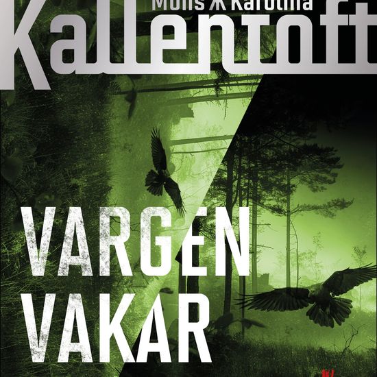 Vargen vakar i mörkret - cover