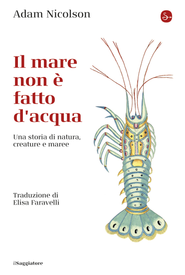 Il mare non è fatto di acqua - Una storia di natura creature e maree - cover